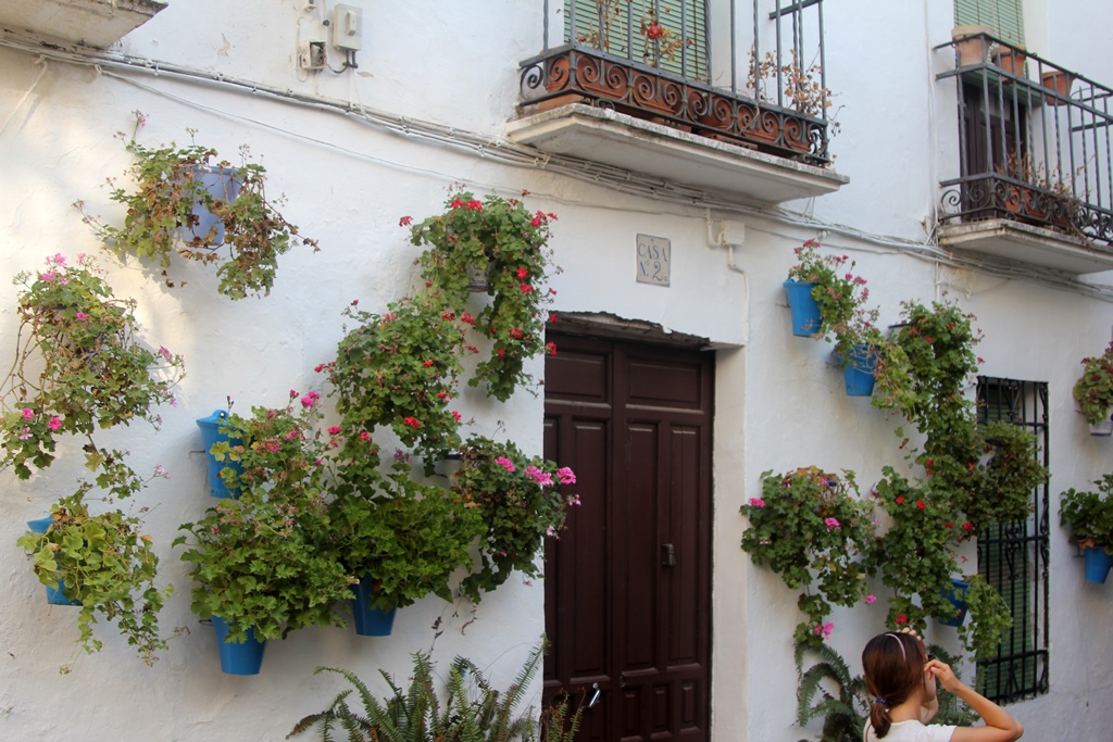 Flower-Decorated House